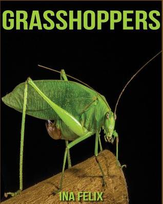 Read Online Grasshoppers: Children Book of Fun Facts & Amazing Photos on Animals in Nature - A Wonderful Grasshoppers Book for Kids Aged 3-7 - Ina Felix | PDF