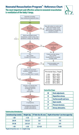 Read Online Neonatal Resuscitation Program Reference Chart - American Academy of Pediatrics | PDF