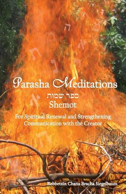 Read Online Parasha Meditations: Shemot - Internalizing Healing Transformation: For Spiritual Renewal and Strengthening Communication with the Creator - Chana Bracha Siegelbaum file in PDF