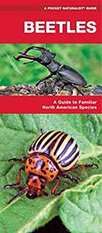 Full Download Beetles: A Folding Pocket Guide to Familiar North American Species (A Pocket Naturalist Guide) - James Kavanagh file in PDF