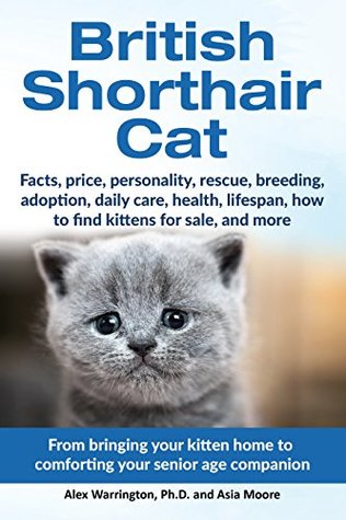 Download British Shorthair Cat: From bringing your kitten home to comforting your senior age companion - Alex Warrington Ph.D. | PDF