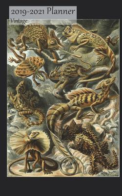 Read 2019-2021 Planner Vintage: 3 Year 2019-21 Monthly Calendar Organizer Appointment Book, Lizards Cover, Three Years 36 Months, 5x8, with Yearly and Address Pages -  file in PDF