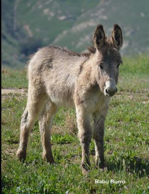 Read Baby Burro: 7.44 X 9.69 Cute Baby Burro Baby Animals Journal Graph Ruled Paper Notebook Unique Appreciation, Birthday, Christmas, Back to School Composition Notebook Gift for Students, Friends, Teachers or Artists -  file in PDF