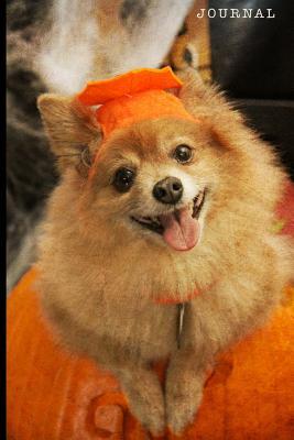 Read Journal: Cute Pomeranian Puppy Dog in a Pumpkin 128 College Ruled Pages: 6 X 9 in Blank Lined Journal with Soft Matte Cover Notebook, Diary, Composition Notebook for Boys, Girls, Kids, School, Students, Homeschool and Teachers - Wildlife Frontier Journals file in ePub