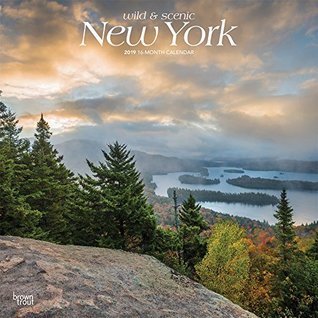 Download New York, Wild & Scenic 2019 12 x 12 Inch Monthly Square Wall Calendar, USA United States of America Northeast State Nature -  | ePub