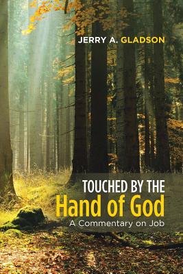 Read Online Touched by the Hand of God: A Commentary on Job - Jerry A Gladson | ePub