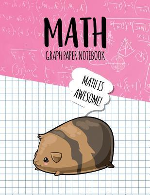 Download Math Graph Paper Notebook: Blank Graph Note Book Pages - Cavy Pink Equations -  | PDF
