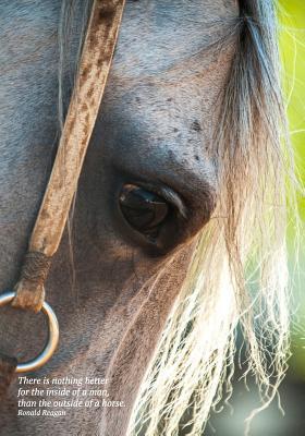 Read Online There is nothing better for the inside of a man, than the outside of a horse. Ronald Reagan: 7x10 wide ruled composition notebook: great gift for cowboys ranchers farmers: Dad on Fathers Day Son's Birthday - Horseshoe Books file in PDF