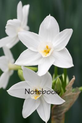 Read Online Notebook: 6 X 9 150 page college lined soft covered journal, notebook, diary with pretty white flowers on a matte cover -  | ePub
