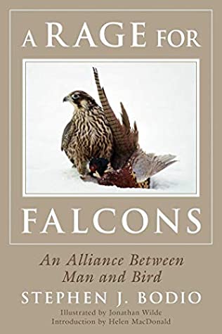 Full Download A Rage for Falcons: An Alliance Between Man and Bird - Stephen J. Bodio | ePub